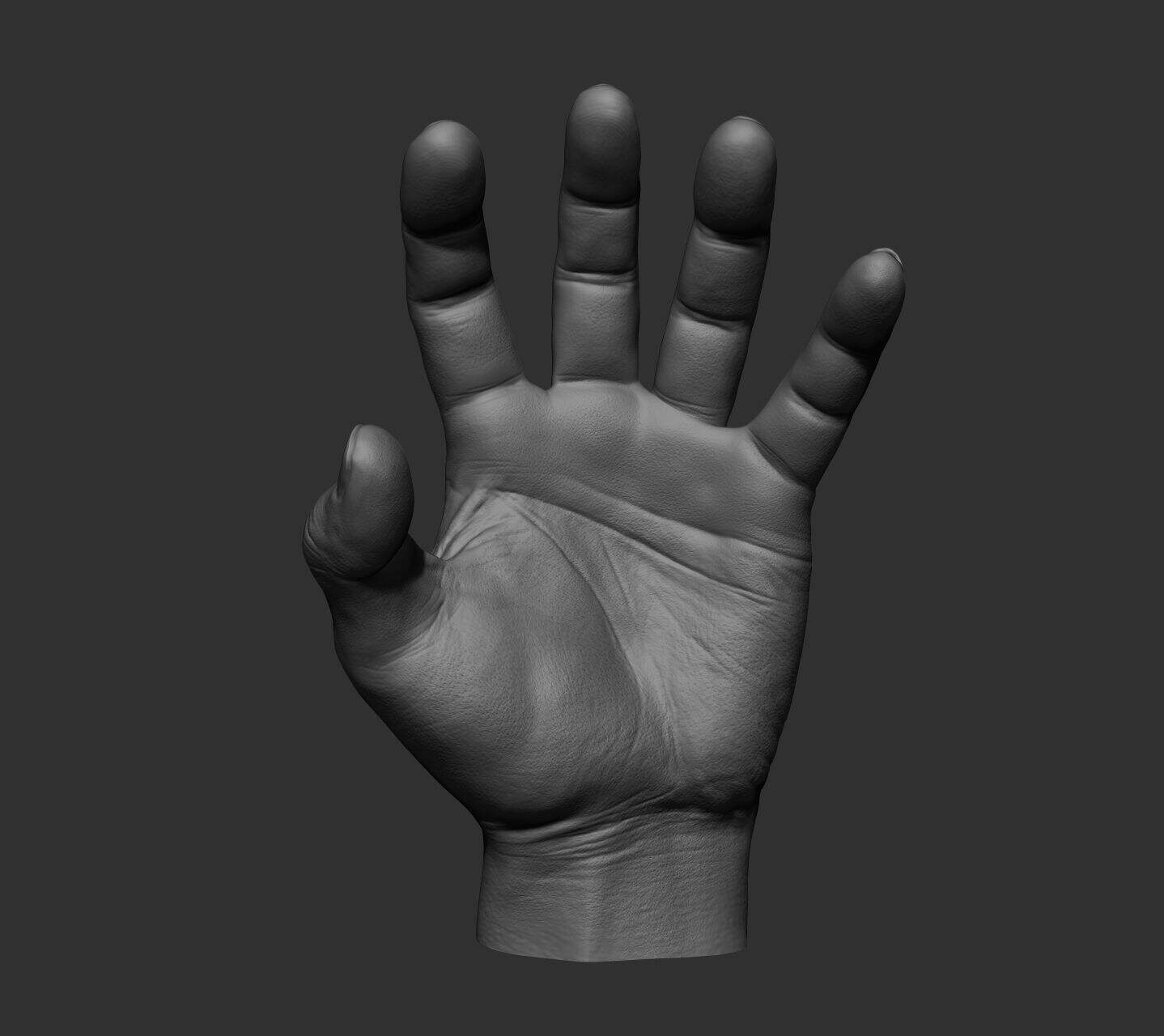 Reference Hand Poses By PoseMuse | Free SVG