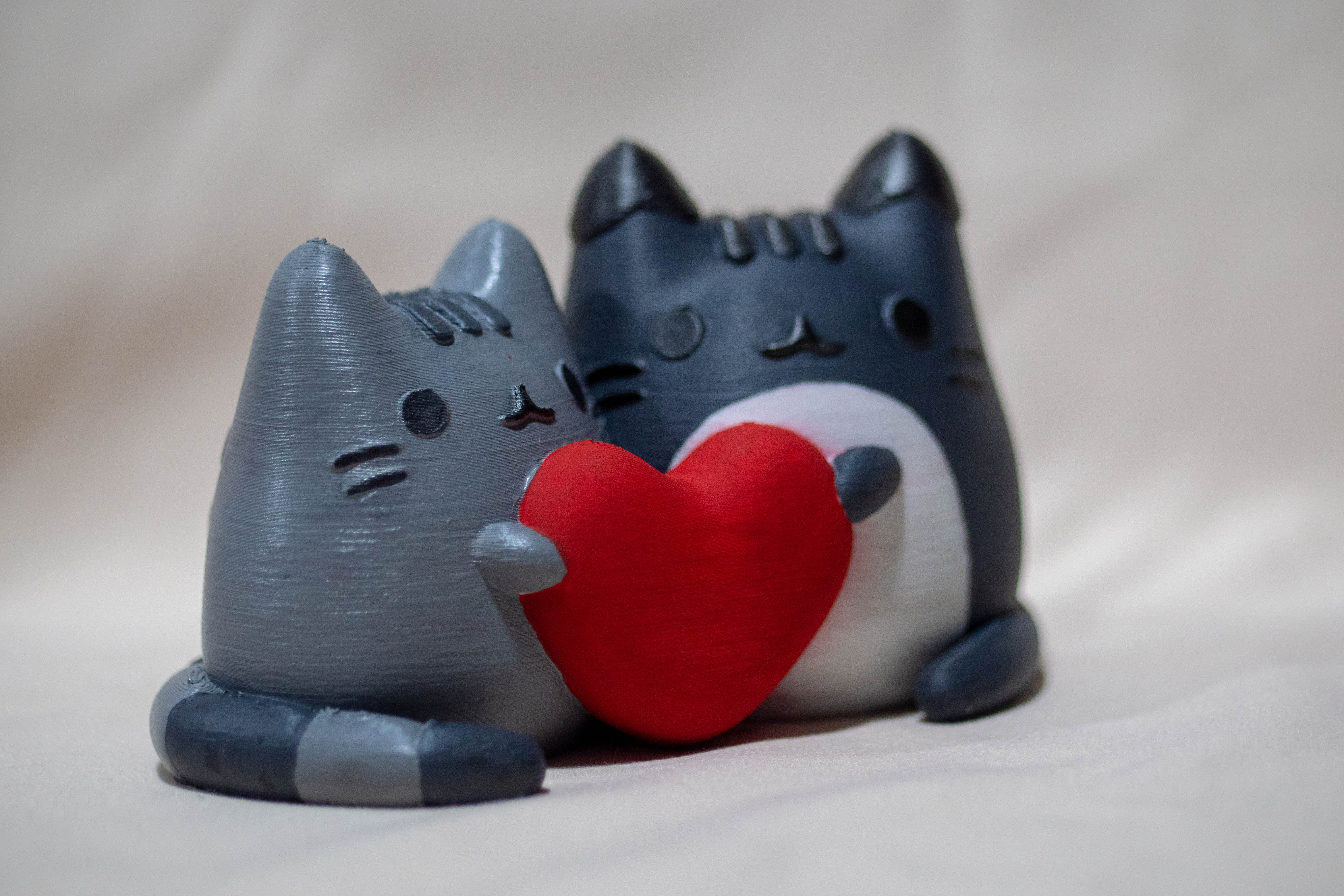 Pusheen X Tommy: a Valentine Model
