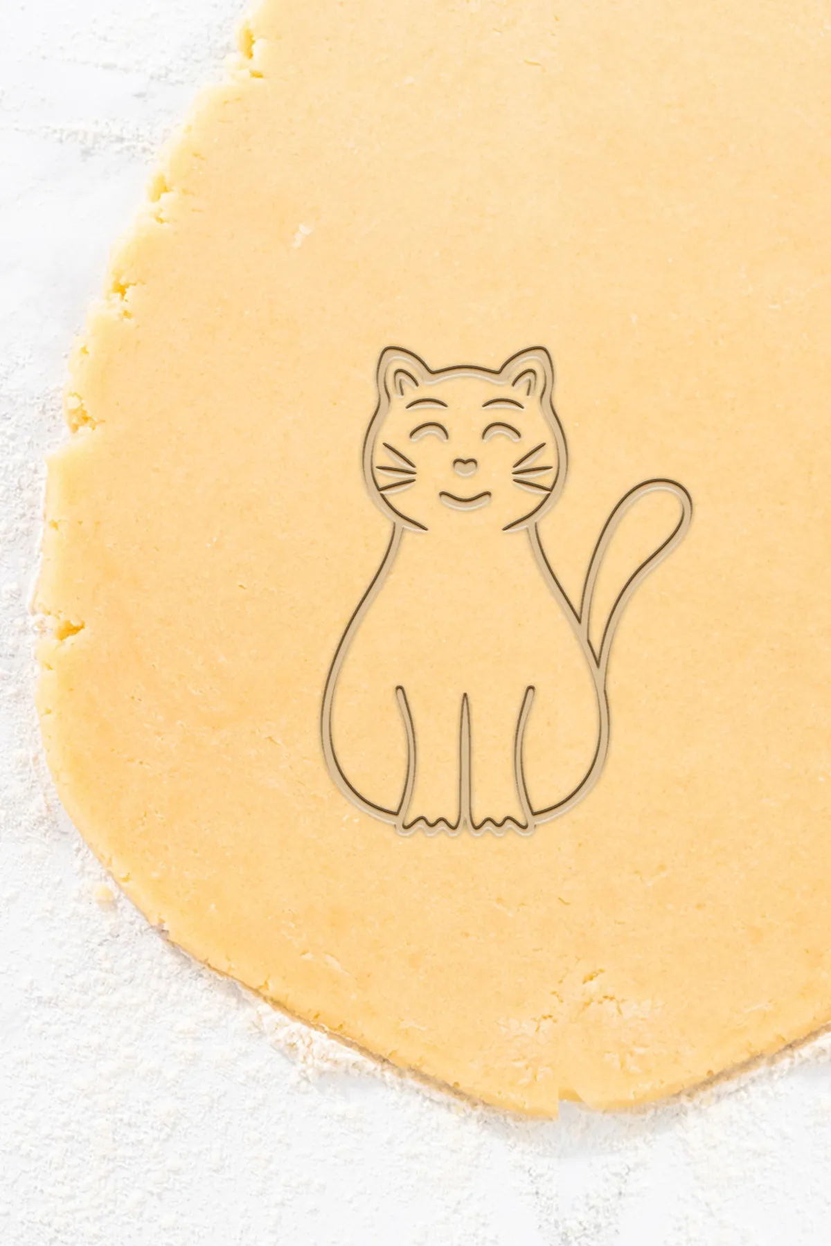 Cat Cookie Cutter, Biscuit Cutter