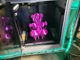 Balloon Animal Bear-2