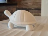 tortue déco-2