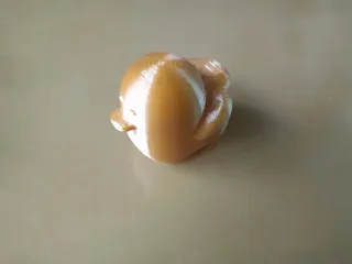 Cute Duck