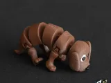 Chien Flexi Transformable-4