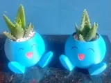 Succulent pot-4