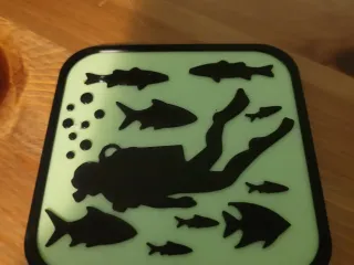 Customizable coaster