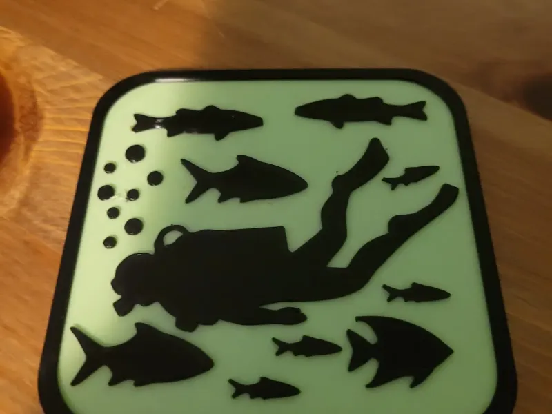 Customizable coaster