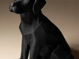 Labrador Decor