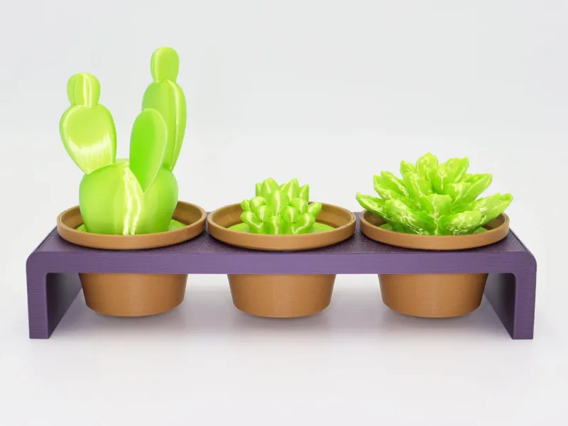 Cactus Pot Plants V2