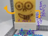 Pants for Bob sponge-1