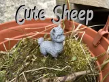 Cute Sheep-0