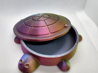Turtle Sandbox