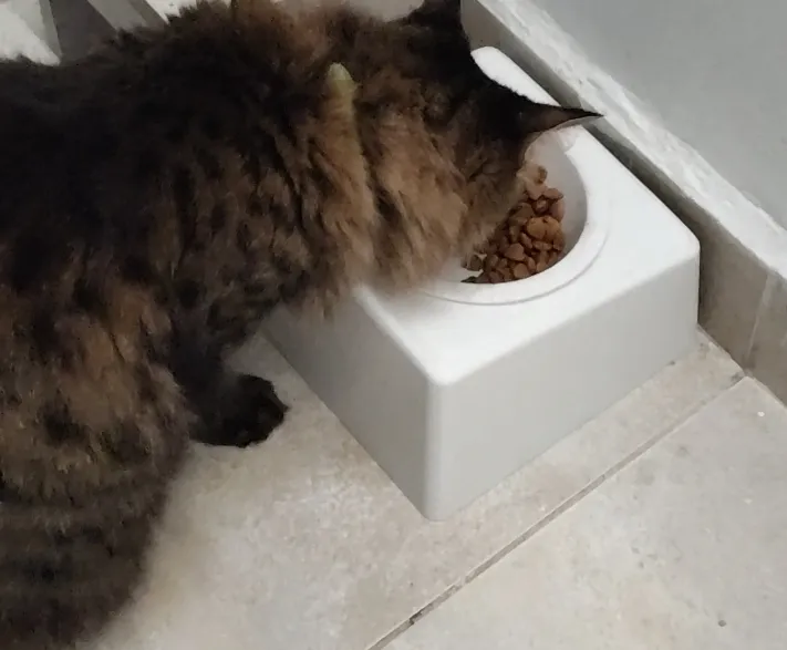 12mm dia Cat Food Holder