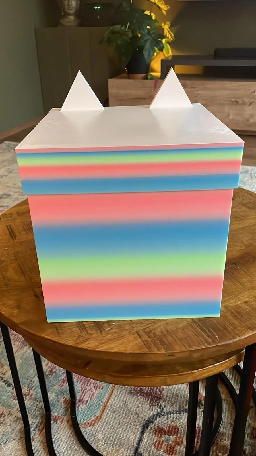 Kitty Mail Parcel inspired by Gabby's Dollhouse