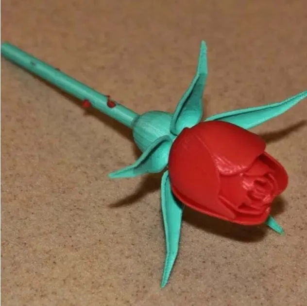 Rose with stem, thorns, sepals and rose hips for Valentine'