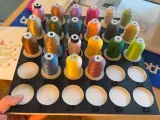 Thread Organizer-2