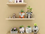 WhimsyAnimal Pots 🏡✨-3