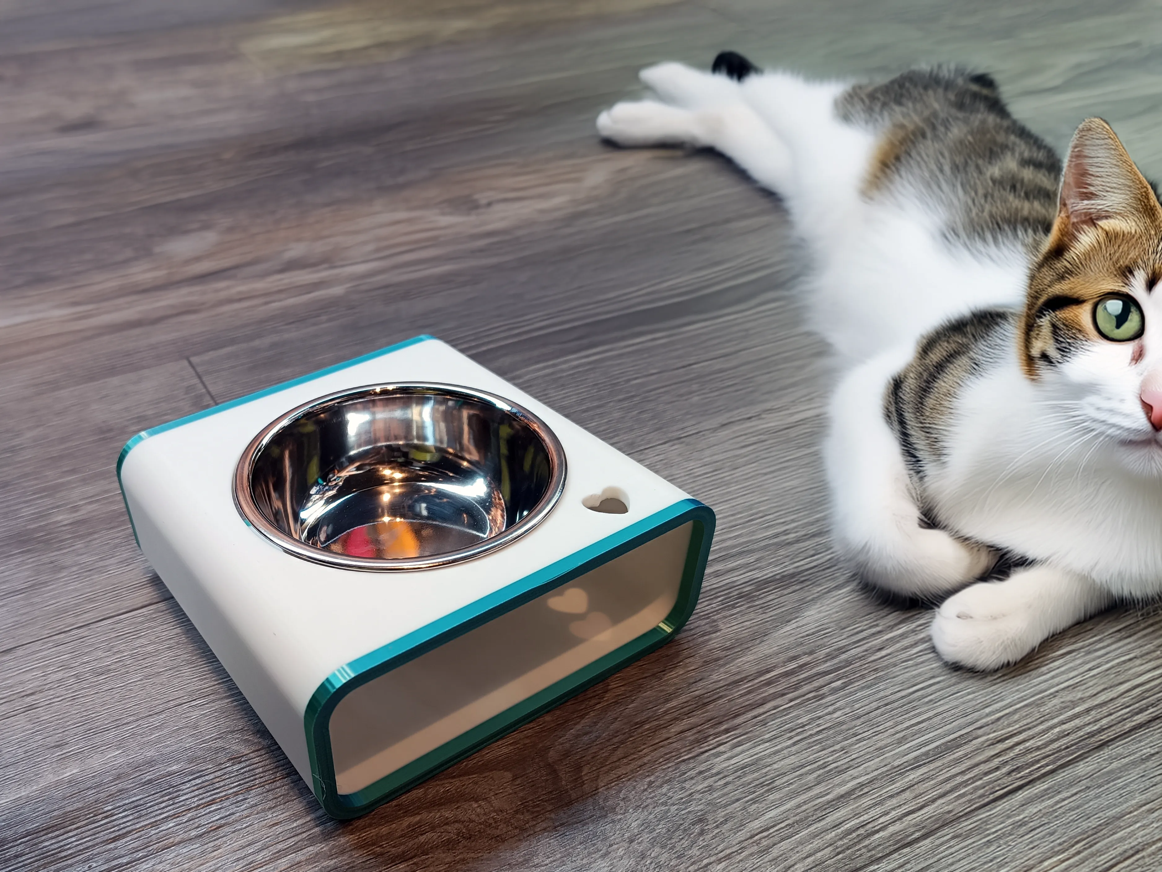Cat and Dog Food Bowl Raiser Stand