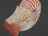 Nautilus-1