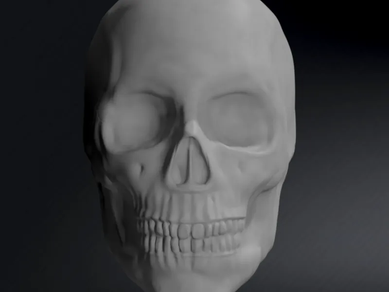 Mannelijke schedel sculptuur ☠