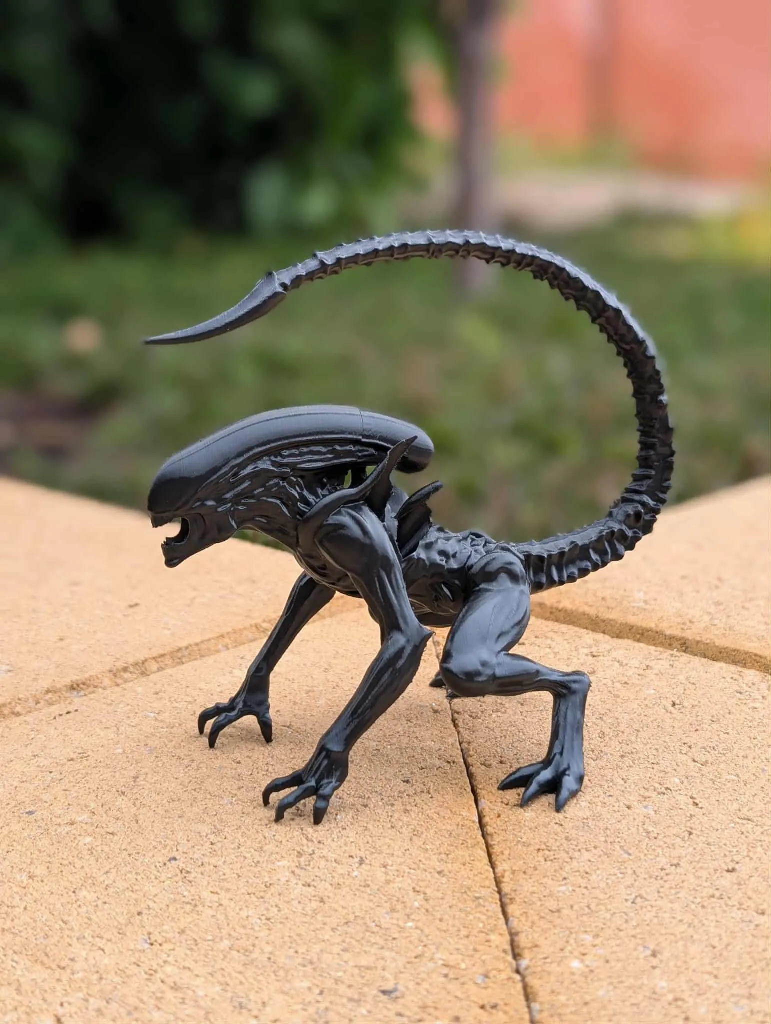 xenomorfo-7