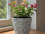 FLOWER POT-1