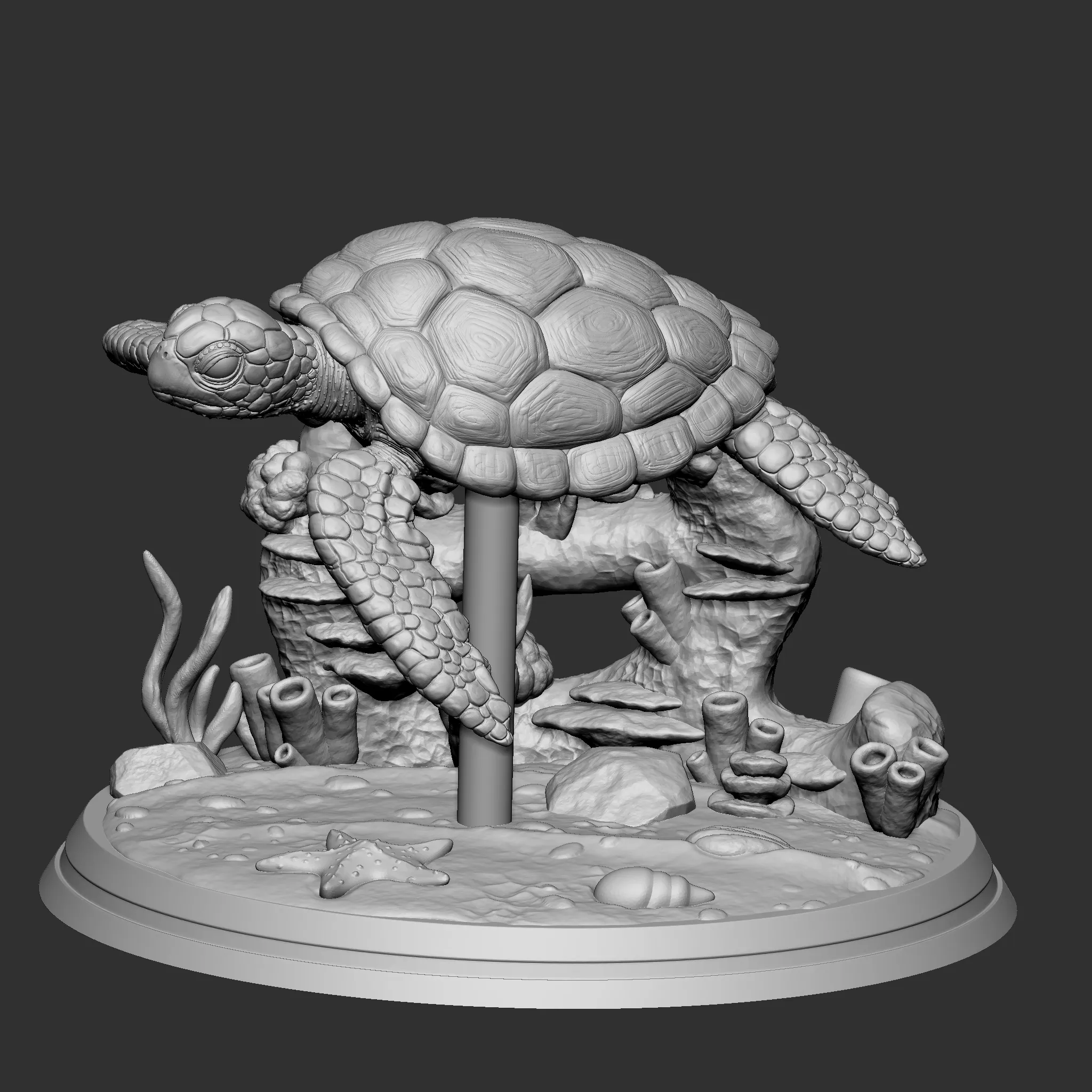 Green sea turtle 3D print model