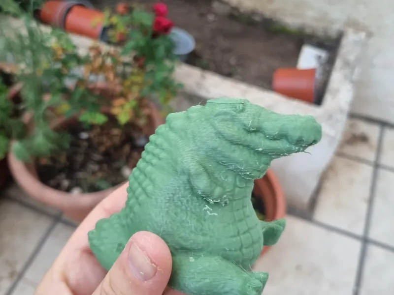 Geocaching Crocodile