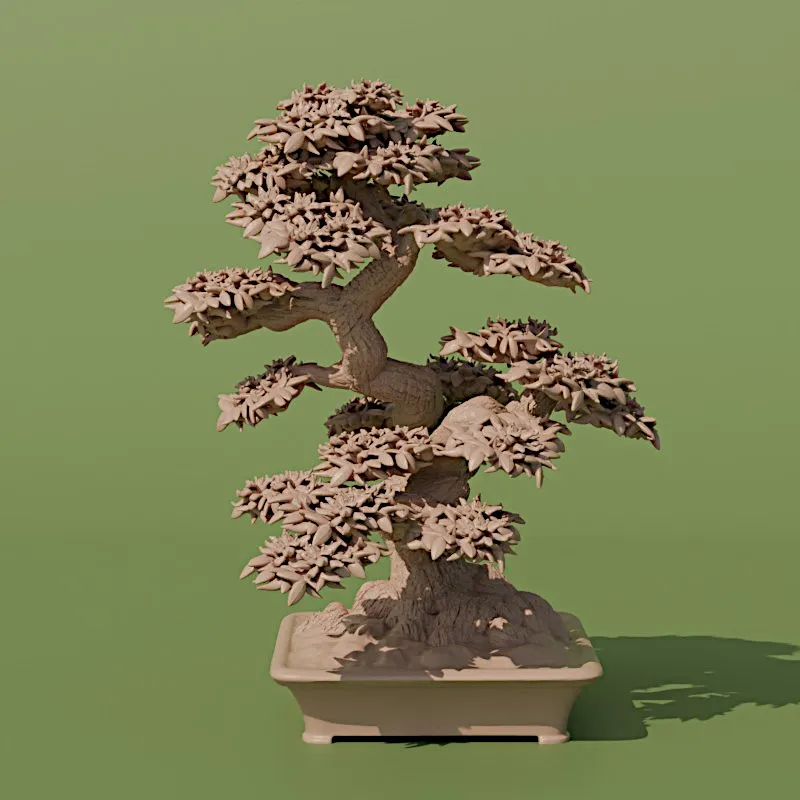 bonsai tree 8. azalia