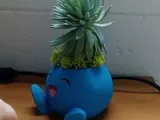 Succulent pot-2