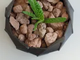 Pot Interior Decor U-3