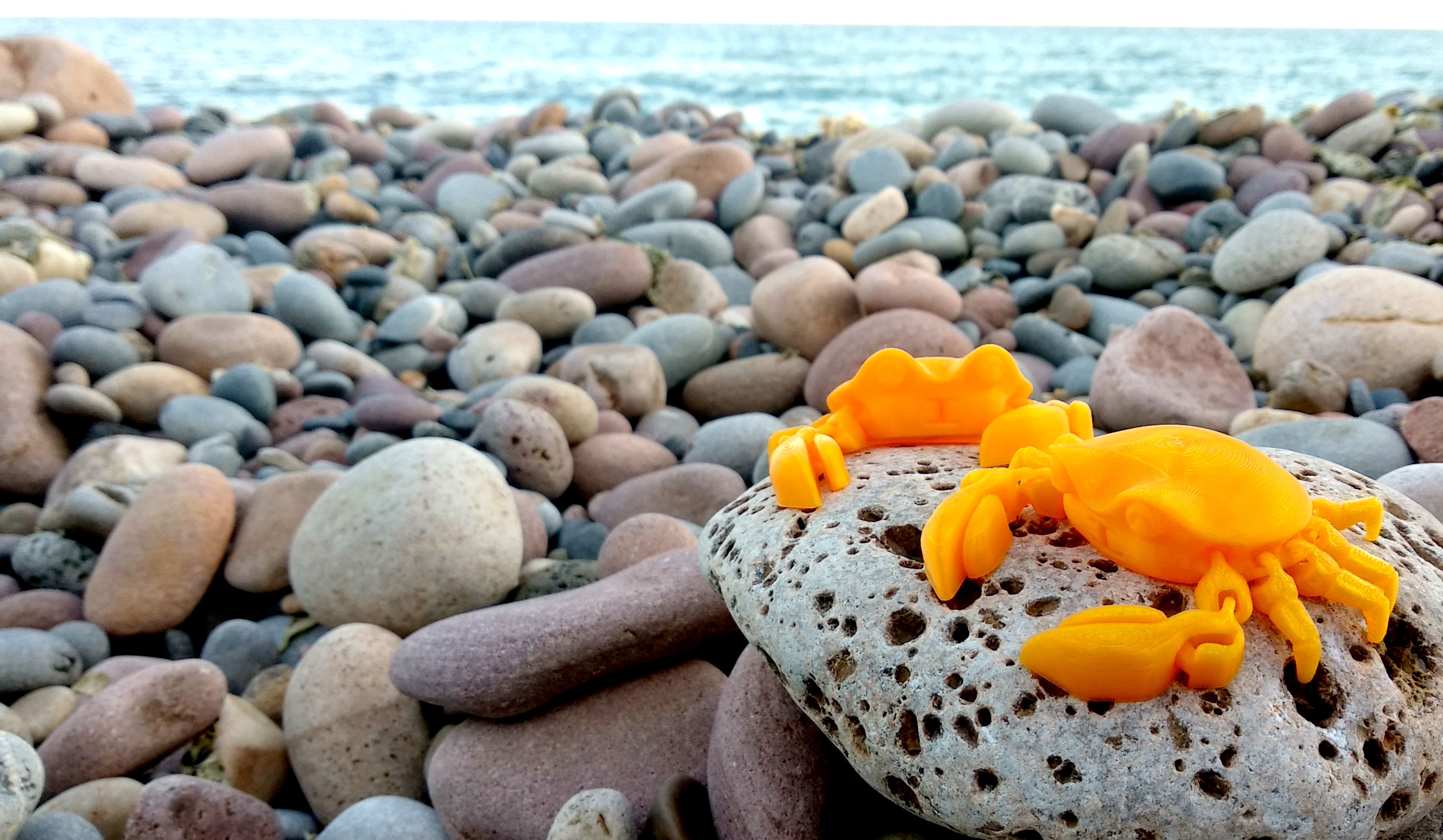 Articulated Crab