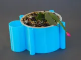 Versatile Turtle Planter-7