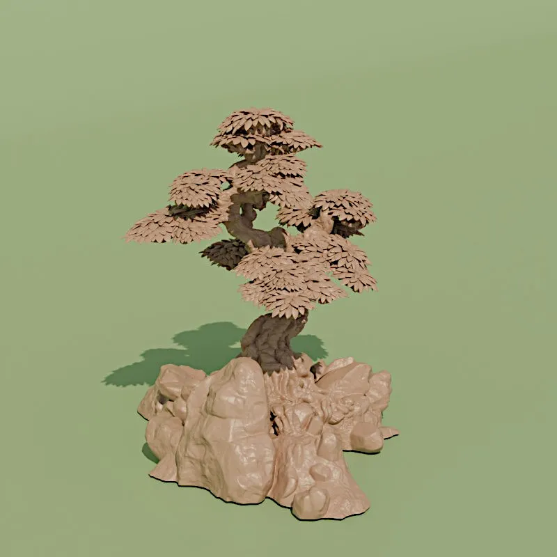 Arbre de jardin japonais 4