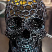 Voronoi-style Skull with no supports-0