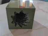 Mold Three with star-1