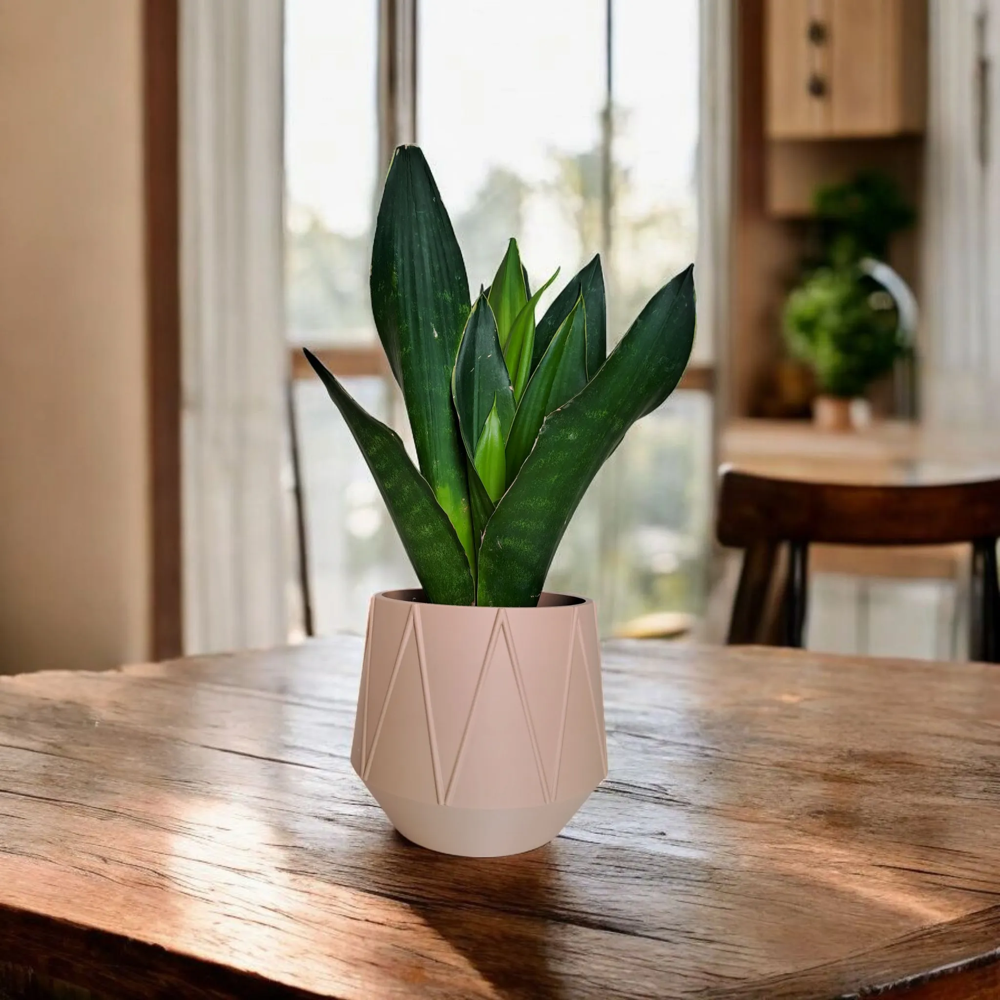A Geometric Planter for Flowers, Plants, Succulents