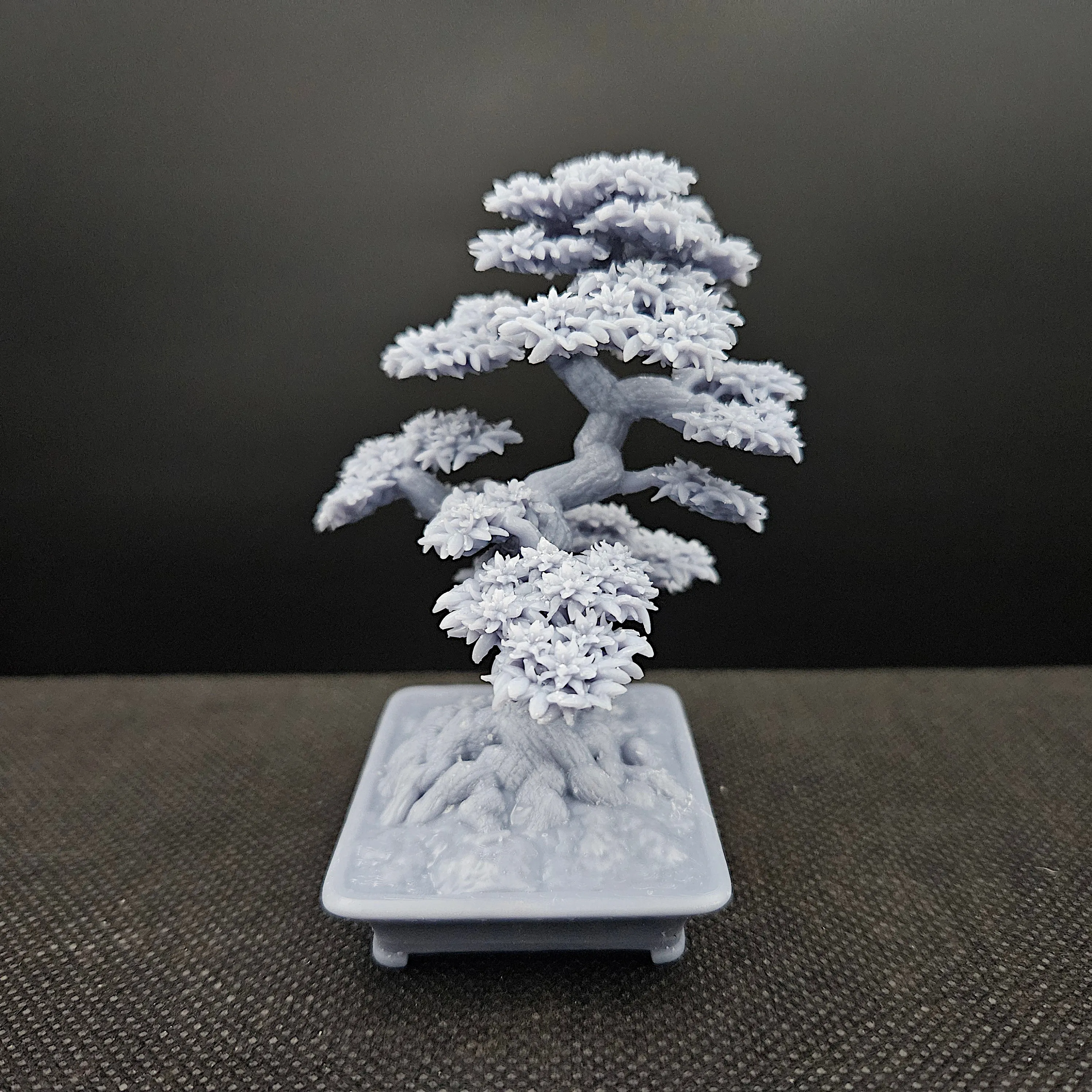 bonsai tree 8. azalia