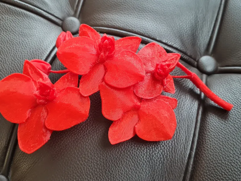 Flor Orquídea
