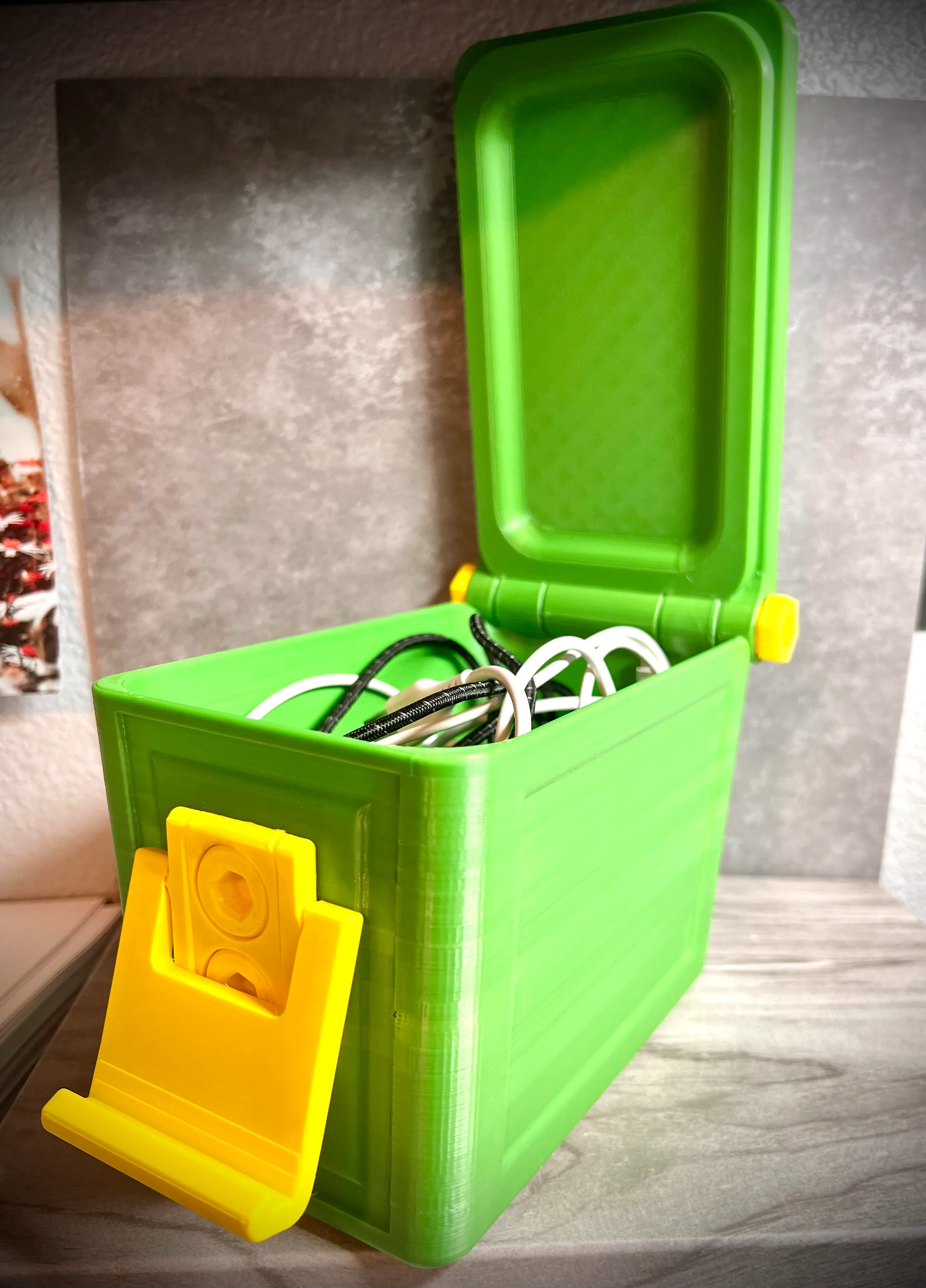 Latching Storage Container