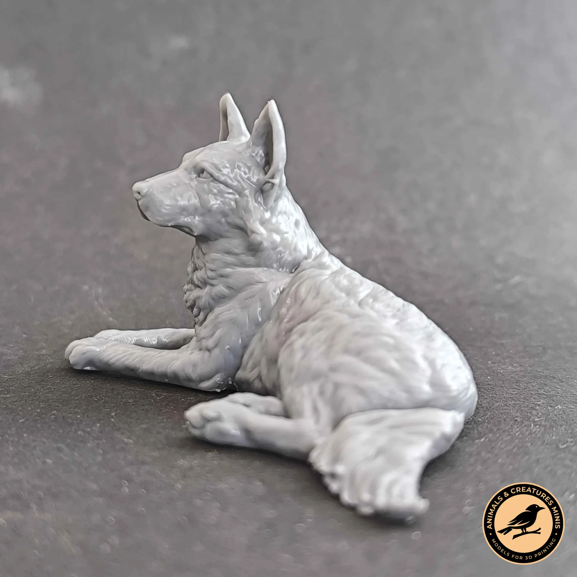 German shepherd