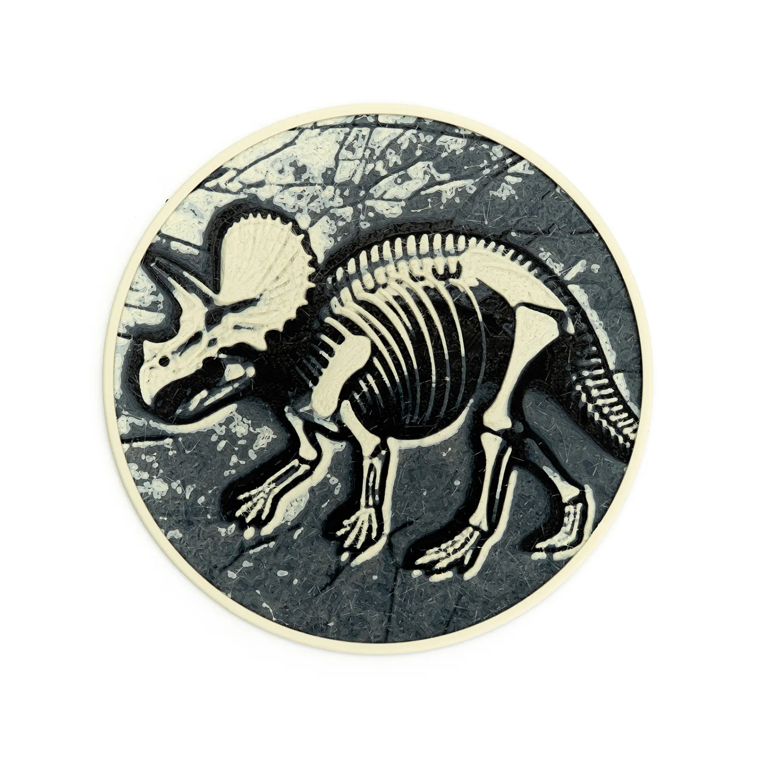 Dinosaur Fossil Coasters