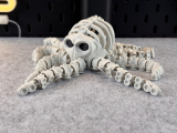 Articulated Skeleton Octopus-7