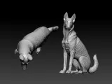 Malinois Sheepdog - Belgian Shepherd model - 3D print-2