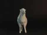 Low Poly Sheep-0