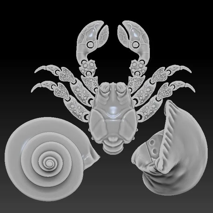 Hermit crab (cute, semi-realistic)