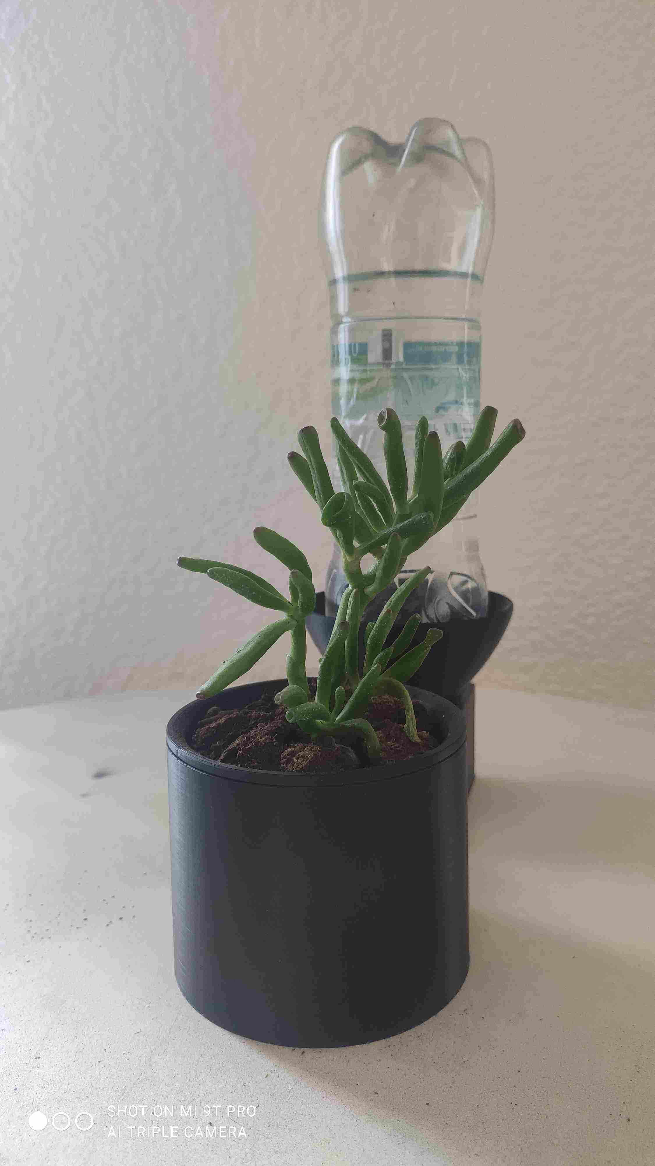 Self-filling planter-1