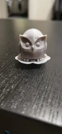 Owl Matthew-0
