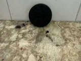 Oreo-7