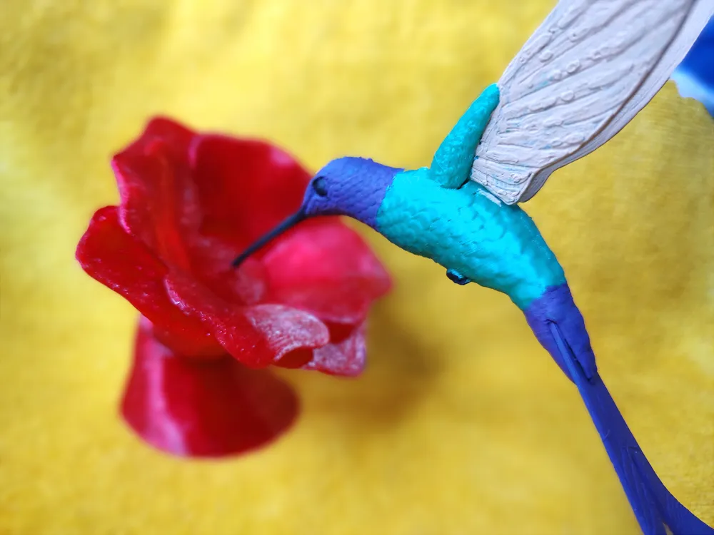 Colibrí