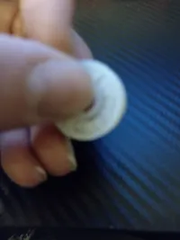 bearing fidget toy-1